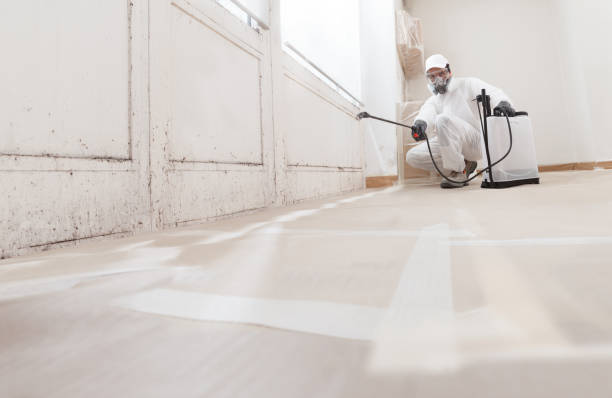 24/7 Emergency Attic Mold Removal experts in Aurora, TX