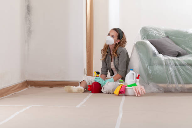Reliable Attic Mold Removal contractor in Aurora, TX by WQB Mold Removal